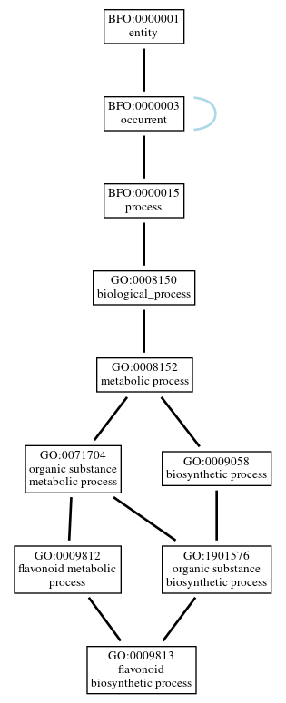 Graph of GO:0009813