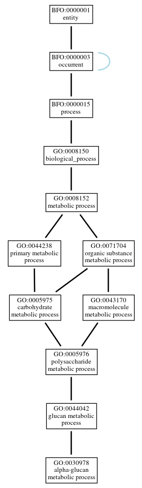 Graph of GO:0030978