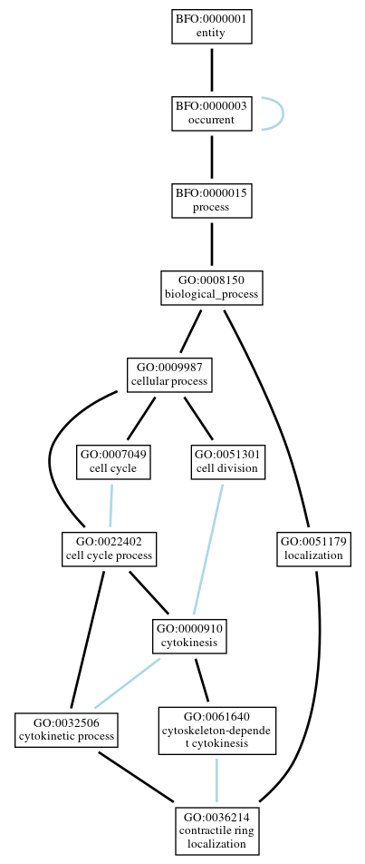 Graph of GO:0036214