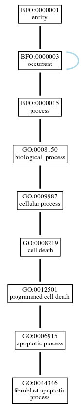 Graph of GO:0044346