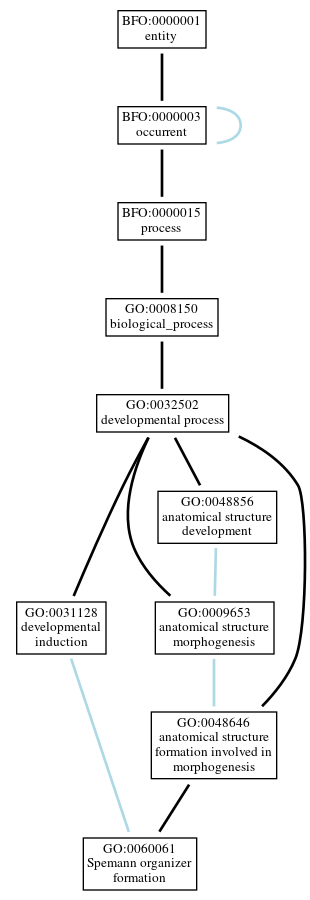 Graph of GO:0060061