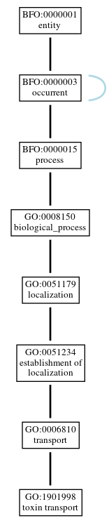Graph of GO:1901998