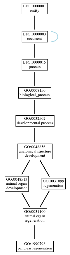 Graph of GO:1990798
