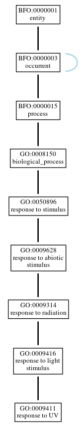 Graph of GO:0009411
