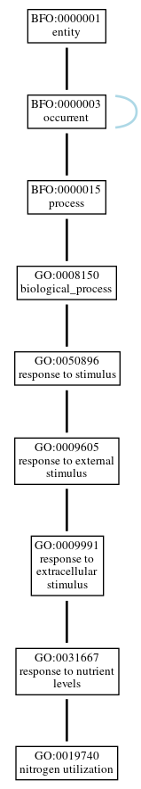 Graph of GO:0019740