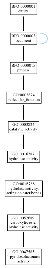 Graph of GO:0047585