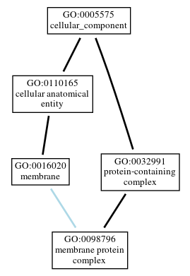 Graph of GO:0098796