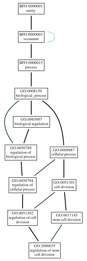 Graph of GO:2000035
