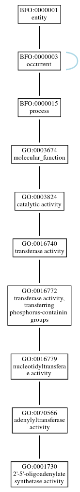 Graph of GO:0001730