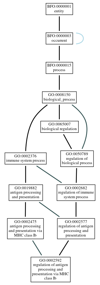 Graph of GO:0002592