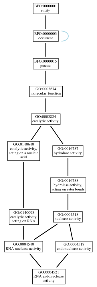 Graph of GO:0004521