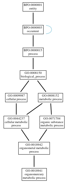 Graph of GO:0018941