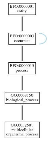 Graph of GO:0032501