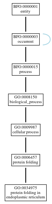 Graph of GO:0034975