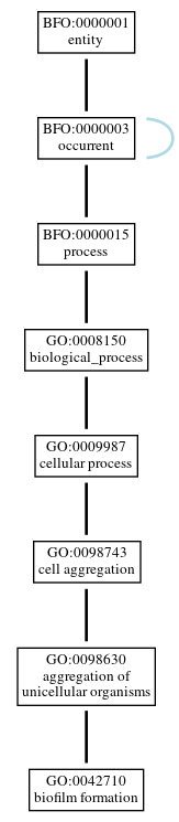 Graph of GO:0042710