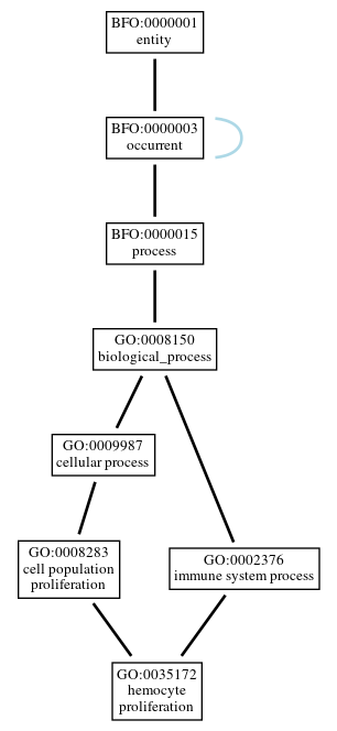 Graph of GO:0035172