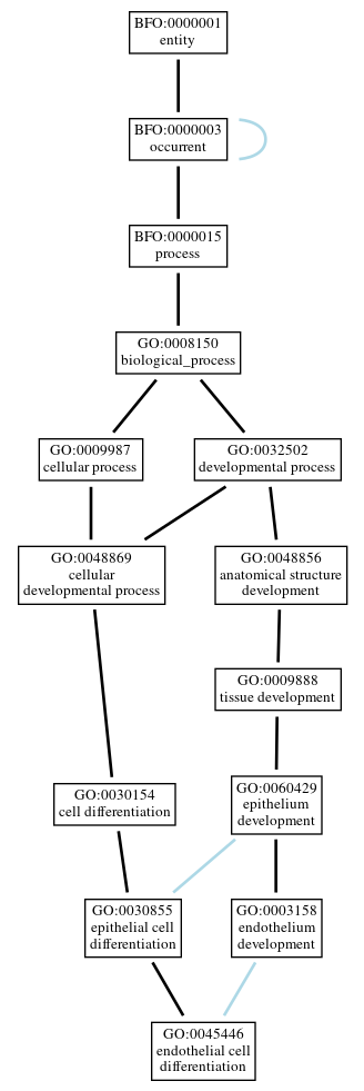 Graph of GO:0045446