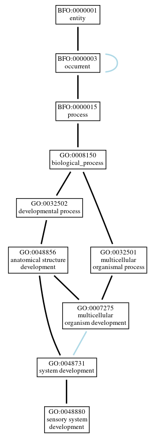 Graph of GO:0048880