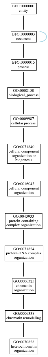 Graph of GO:0070828
