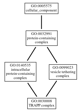 Graph of GO:0030008