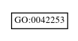 Graph of GO:0042253