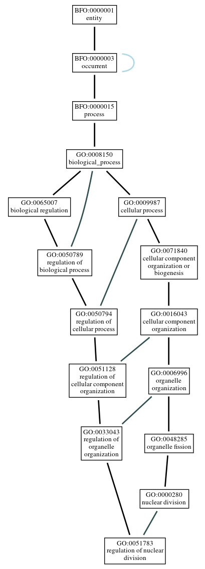 Graph of GO:0051783