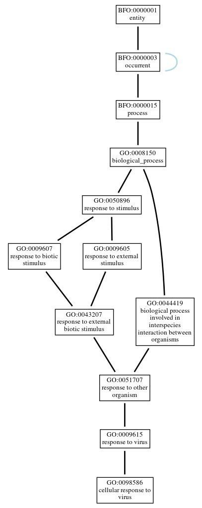 Graph of GO:0098586