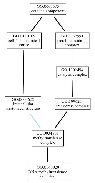 Graph of GO:0140020