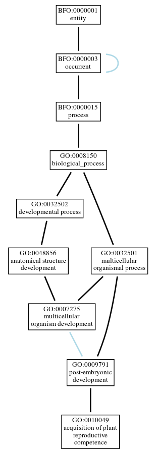 Graph of GO:0010049