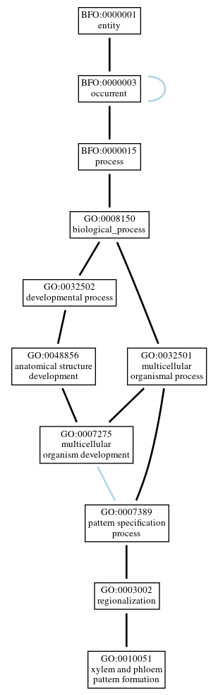 Graph of GO:0010051