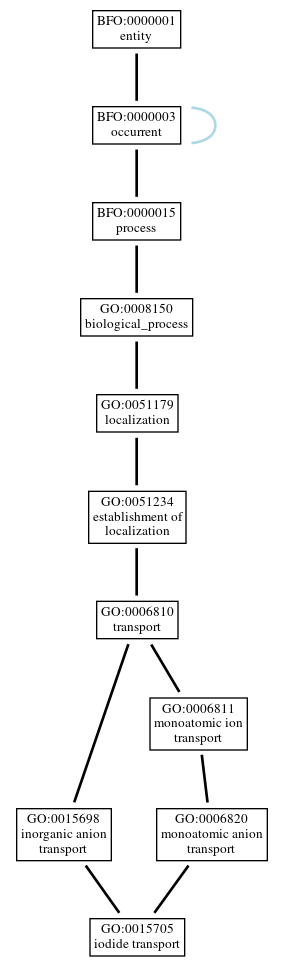 Graph of GO:0015705