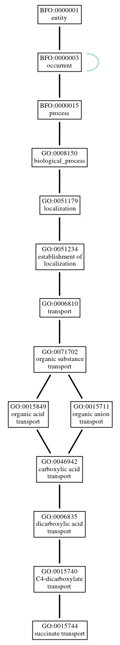 Graph of GO:0015744