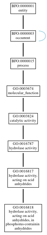 Graph of GO:0016818