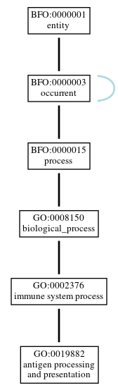 Graph of GO:0019882