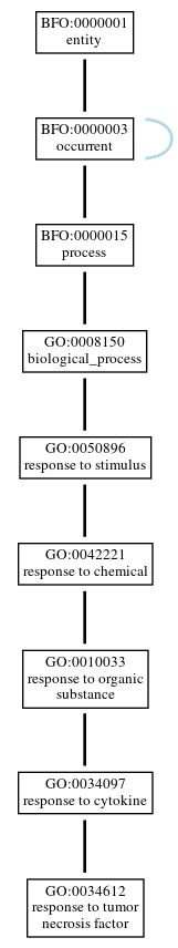 Graph of GO:0034612