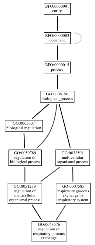 Graph of GO:0043576