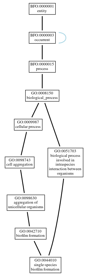 Graph of GO:0044010