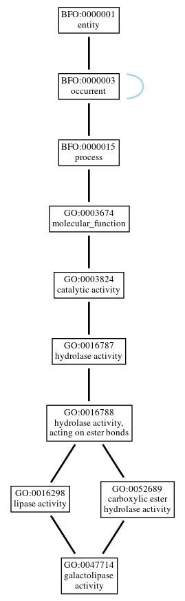 Graph of GO:0047714
