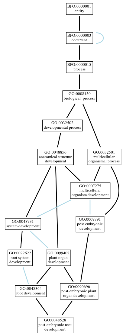Graph of GO:0048528
