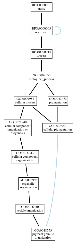 Graph of GO:0048753