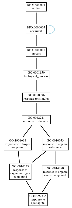 Graph of GO:0097335