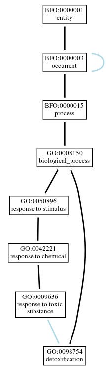 Graph of GO:0098754