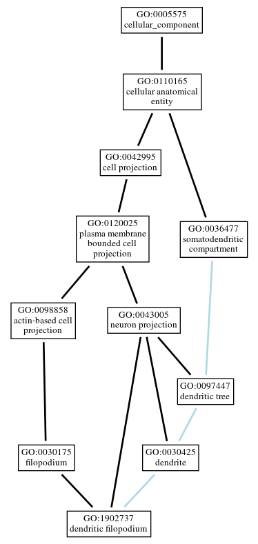 Graph of GO:1902737
