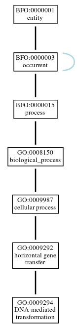 Graph of GO:0009294
