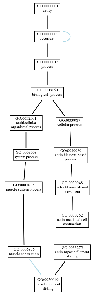 Graph of GO:0030049