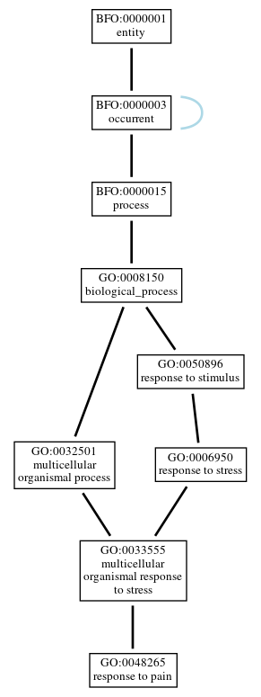 Graph of GO:0048265