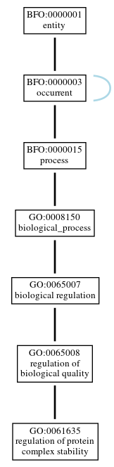 Graph of GO:0061635