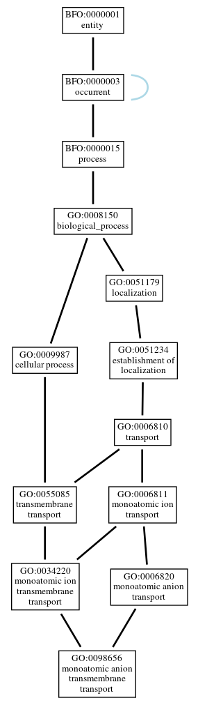 Graph of GO:0098656