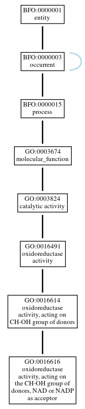 Graph of GO:0016616