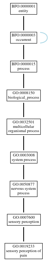 Graph of GO:0019233